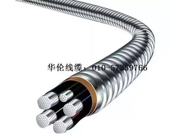 滄州市統(tǒng)計工作規(guī)范化建設(shè)推進(jìn)會在華倫公司順利召開！