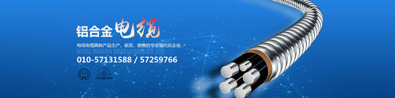 滄州市統(tǒng)計工作規(guī)范化建設推進會在華倫公司順利召開！